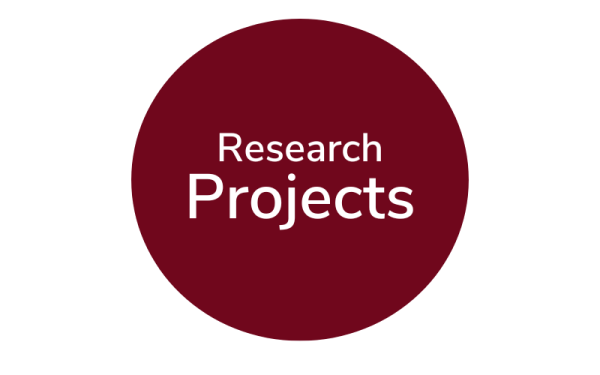 Link, Research Projects